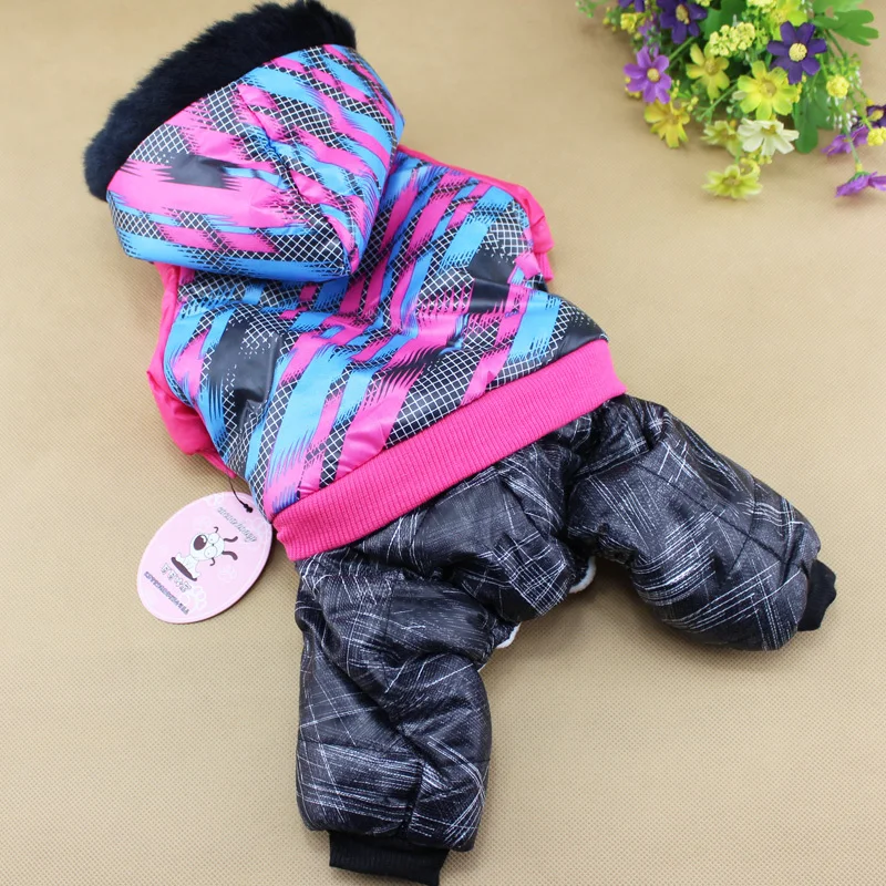 pet dog legs in winter clothes jacket cotton f4*|leg heel|dog potatoesleg exercises weight loss |