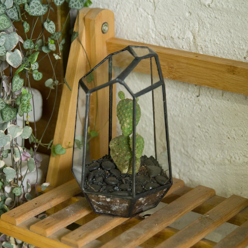 Стеклянный террариум плантатор для сада настольный миниатюрный стеклянный