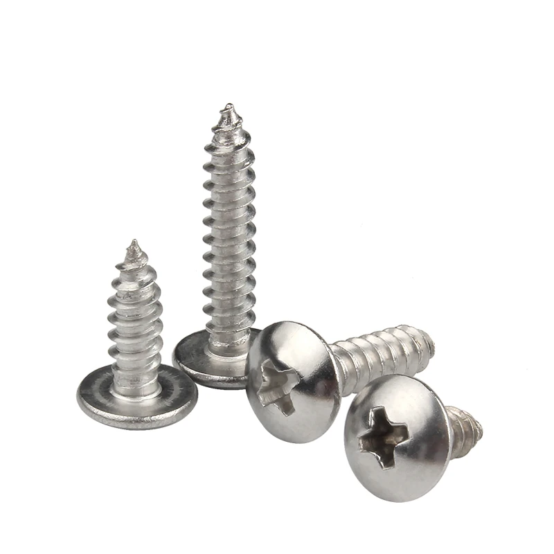 Винты самонарезающие из нержавеющей стали с большой плоской головкой 50/25 шт. |