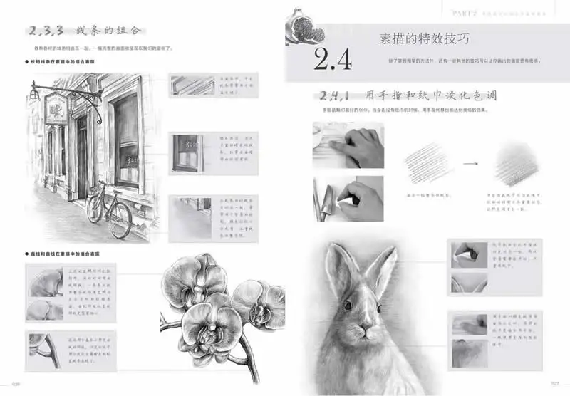 Карандашные наброски для начинающих учеников от Feiyueniao Studio китайская
