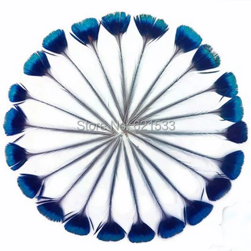 

Corona Peacock Feathers, 10Pieces/Lot - BLUE Iridescent Peacock Crown Loose Feathers, approximately 2 inches long