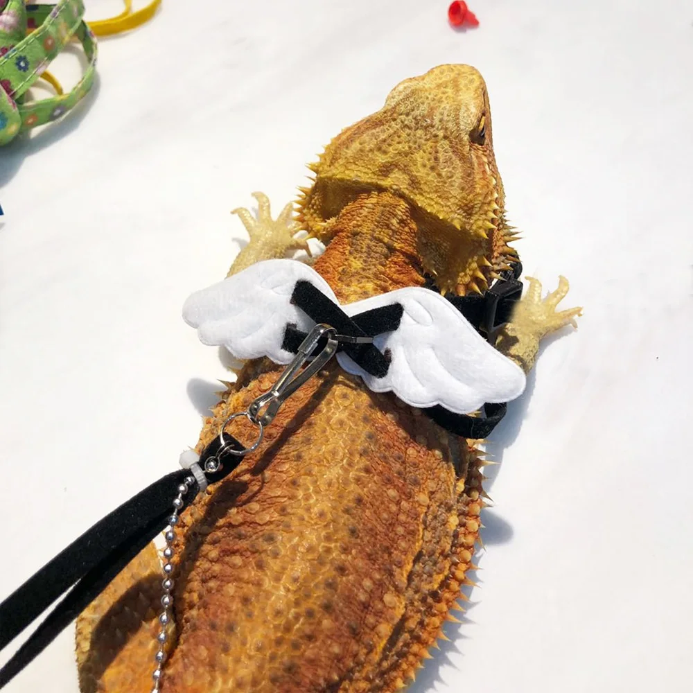 Новый поводок для ящерицы с крыльями ангела домашних животных рептилий