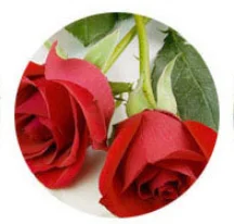 1pc Rose 1 шт. натуральное цветочное саше с подвесным крюком осушенный домашний автомобильный шкаф освежитель для ящиков духи-Саше сумка 4 аромата - Аромат: 1pc Rose