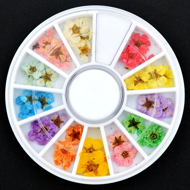 Набор из 24 штук 12 видов цветов сушенный цветочный цветок для украшения ногтей