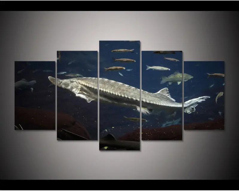 HD печать 5 шт. холст для осетрА настенная живопись домашний декор настенное