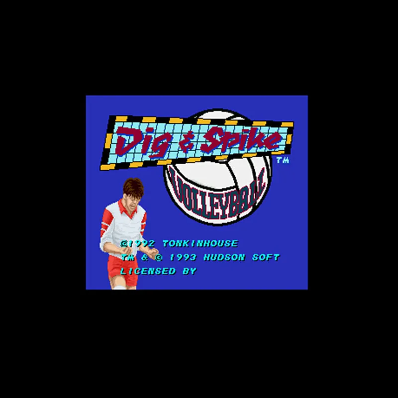 Dig &amp Spike волейбольная 16-битная большая серая игровая карта для NTSC игрового игрока