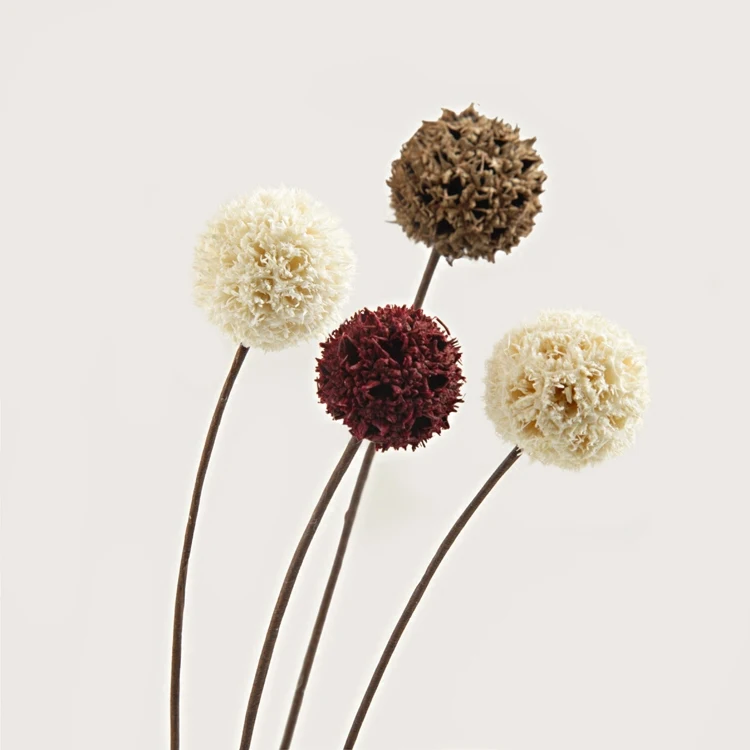 Сушеные цветы ручной работы декоративные для дома вечерние Вечные 3 шт./лот