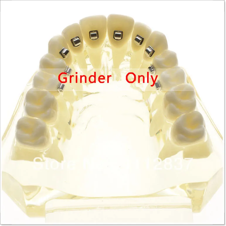 Dentist lab Dental Demonstration model for Orthodontic Yellow with inside metal bracke t oral hygiene Teeth whitening | Красота и
