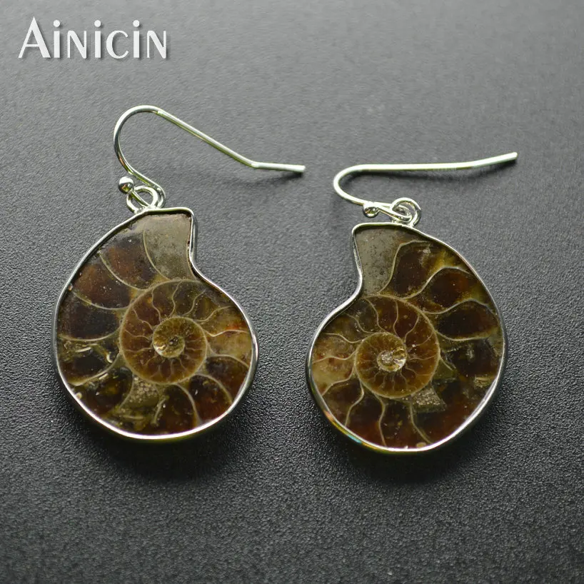 5pairs Natural Ammonite Specimen Madagascar Fashion Hook Dangle Earrings Special Gift Jewelry