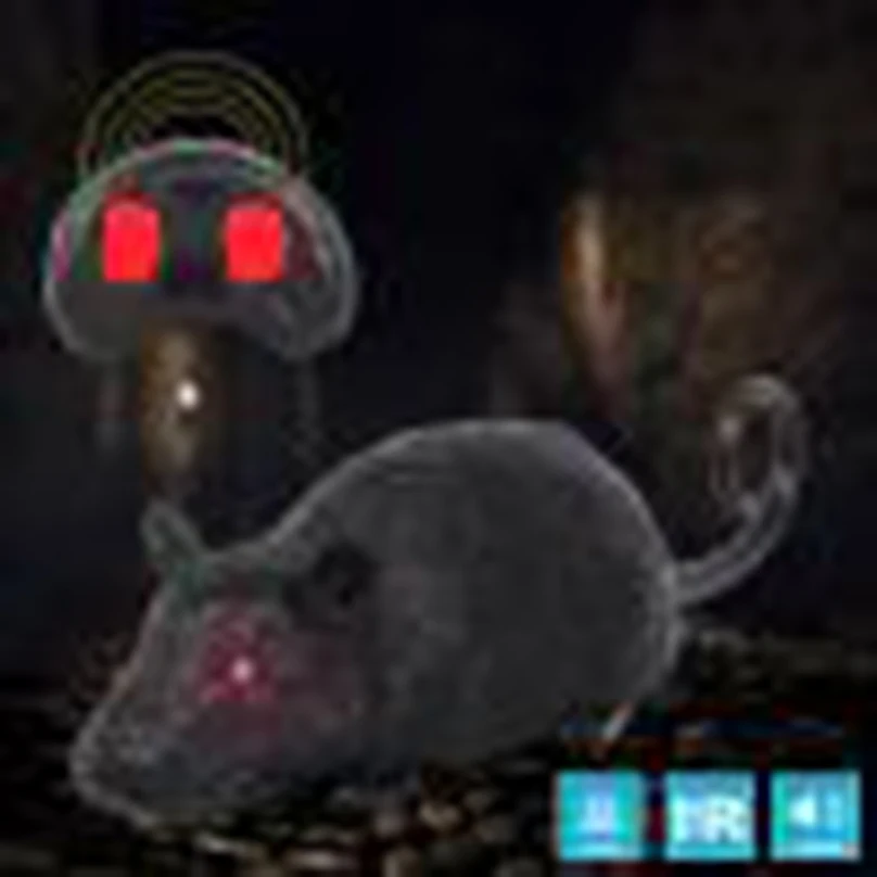 Children Tricky Toys Infrared Induction Electric Remote Control Mouse Pet Toy Realistic RC Simulation Animal Gift Dropshipping | Игрушки и