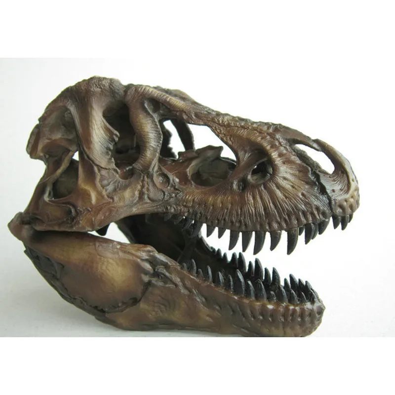 Ремесла Искусство ремесла 1/12 Тираннозавр Рекс Динозавр череп Смола Fossil