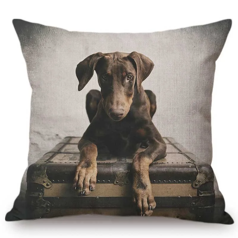 Милые щенки портрет собаки Пудель немецкий Шепард Домашние животные