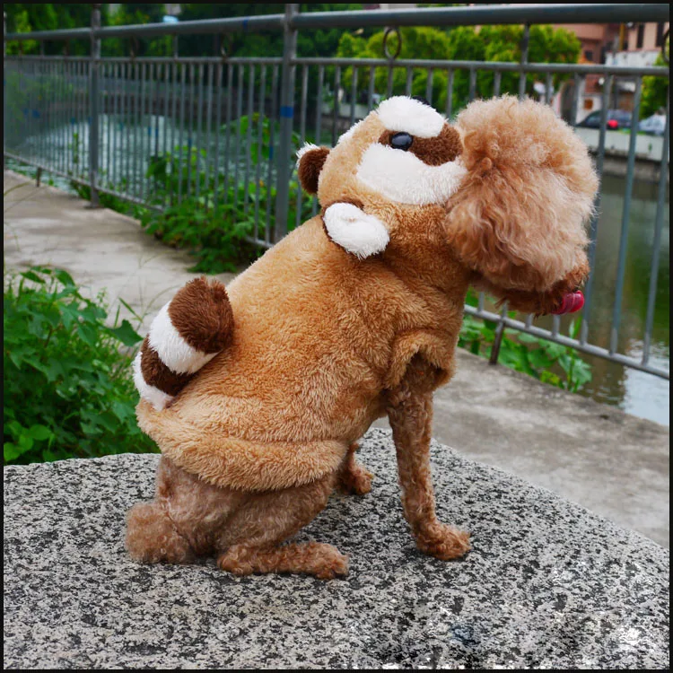 Забавный костюм на Хэллоуин для домашних животных кошек собак медведей одежда