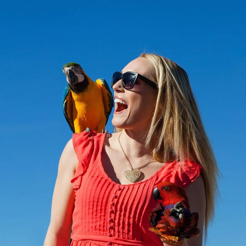 

Parrot Toys Bird Articles Parrot Bite Toy Set Bird Toys Parrot Funny Swing Ball Bell Standing Training Toys