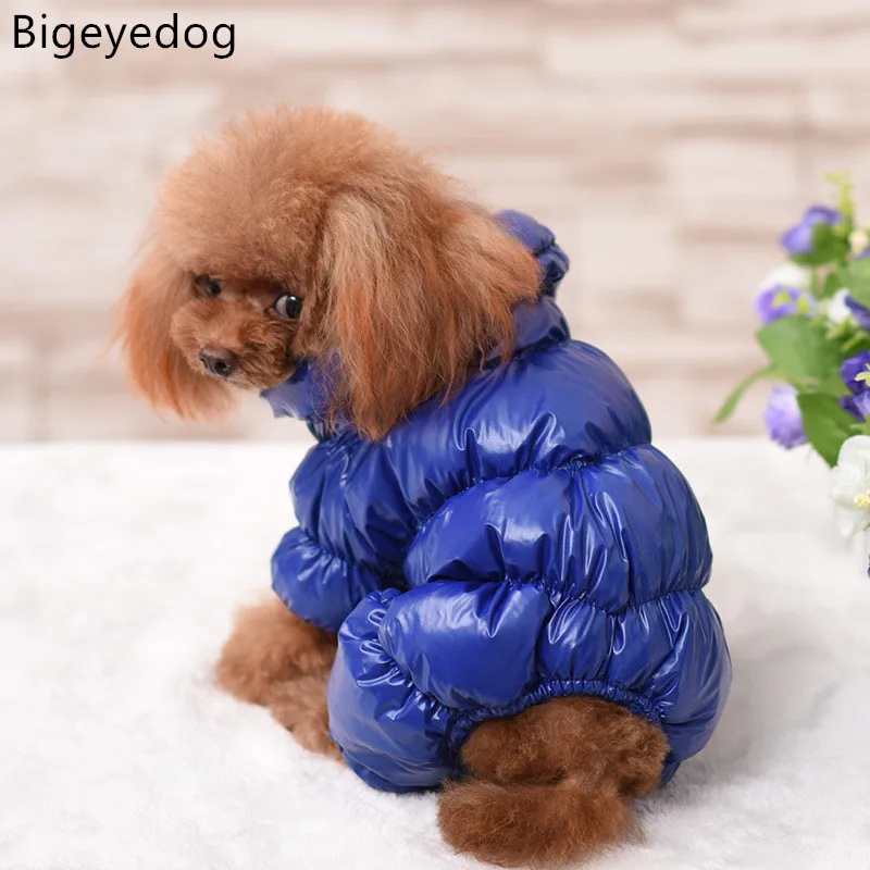 Зимняя одежда для собак Bigeyedog французская бульдога мопса Шарпей пудель
