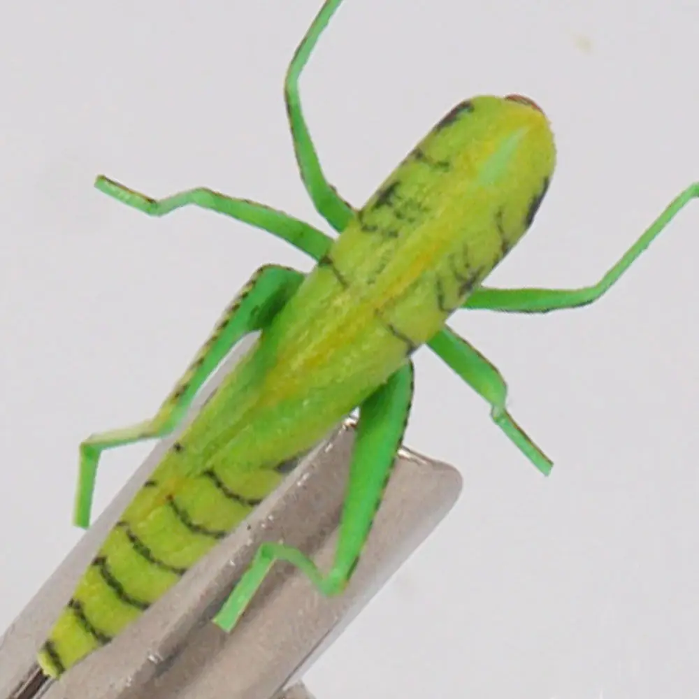 green hopper 10 size Лучшее качество риверранс реалистичный Кузнечик бункер мухи Верховная пена бункер муха из Европы - Цвет: green hopper 10 size