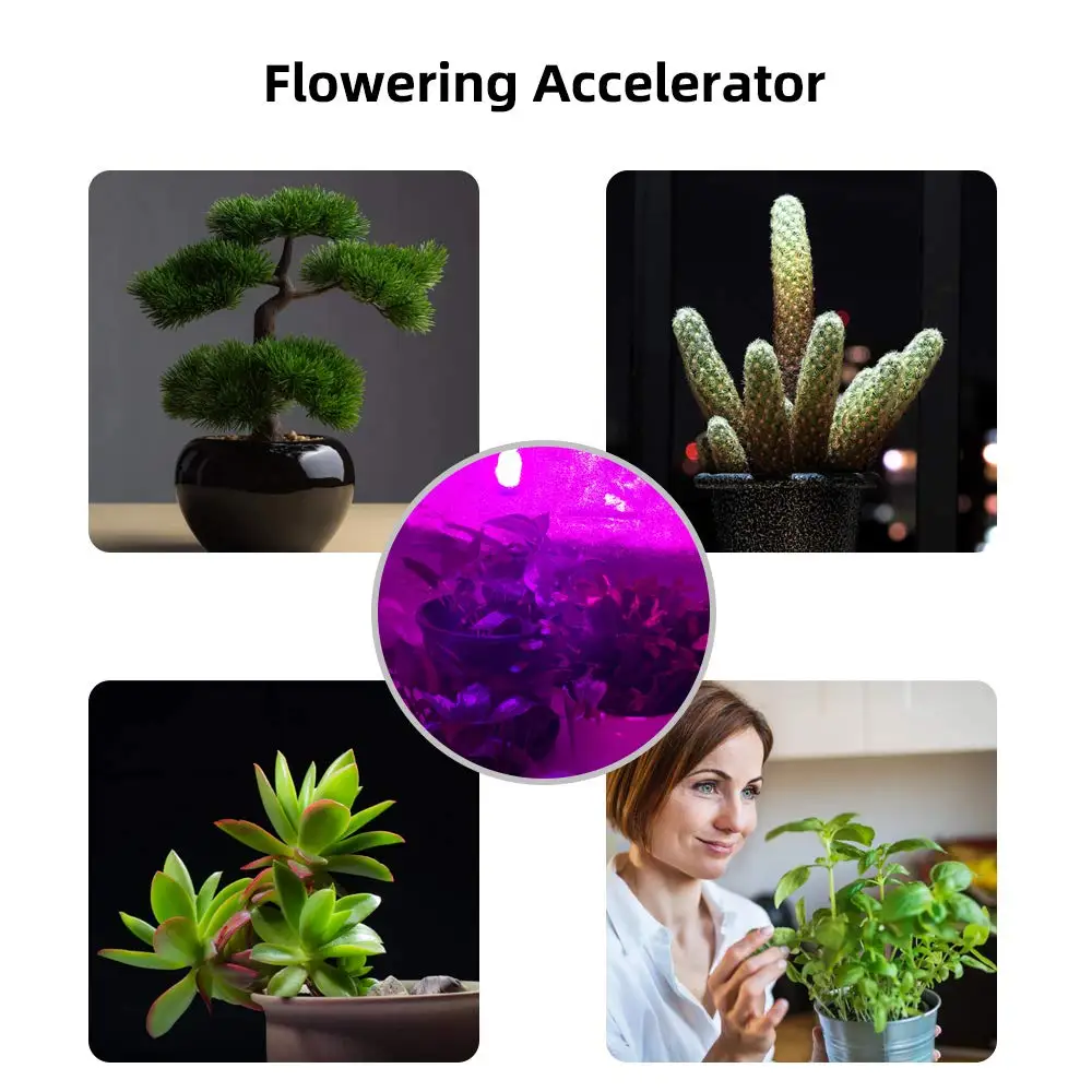 

E27 E26 A60 LED Filament Bulb 8W Plant Growth Bulbs Bulb Lamp 110V 120V 220V 240V Greenhouse Plant Flowering Cultivation