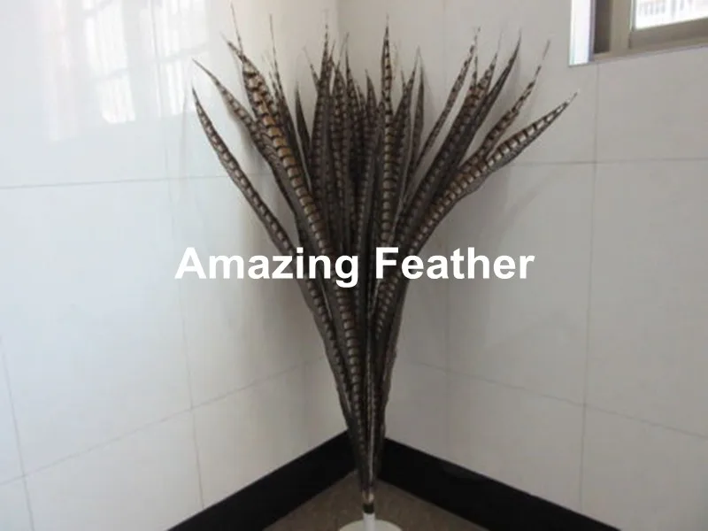 

EMS Free Shipping 90-100cm 35-40 inches 100pcs Natural Color ringneck Lady Amherst pheasant tails pheasant feather