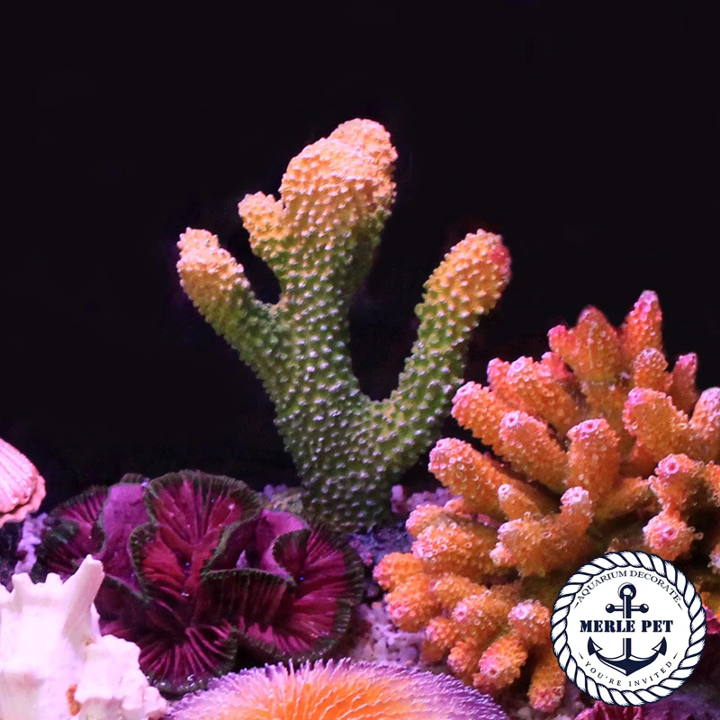 Мерл Pet Искусственный Coral Украшения аквариум украшения водных растений морской