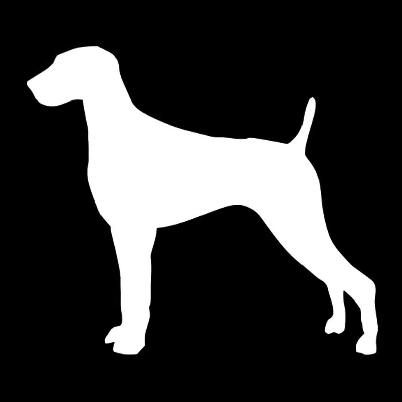 12 7*11 2 см забавные стикеры Новое поступление Weimaraner виниловая наклейка с принтом