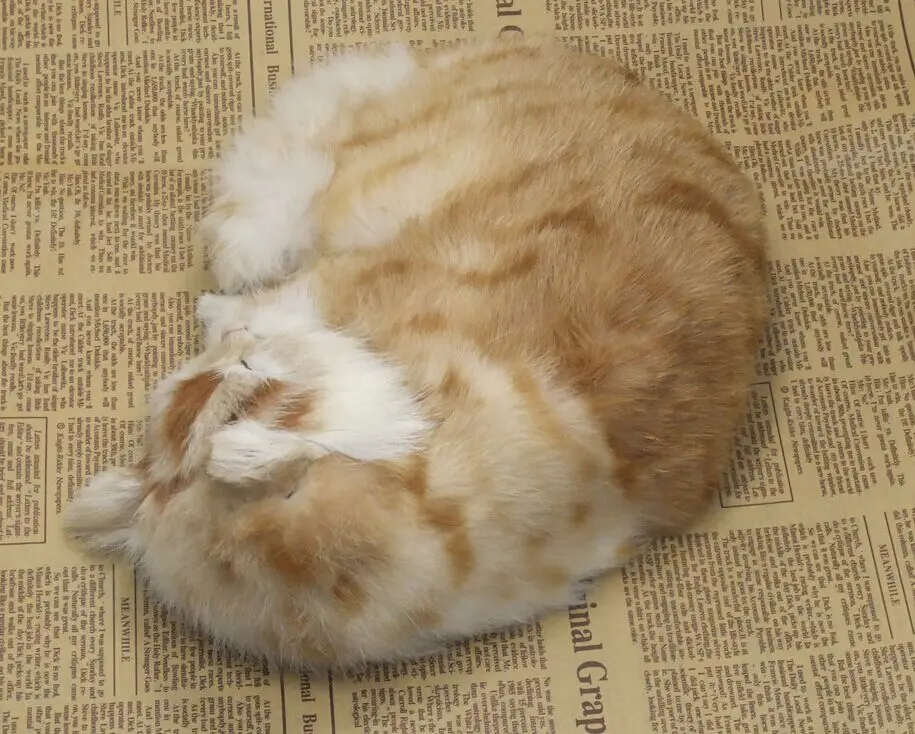 

Simulation fur animals cats sleep photography props Wedding gift for furnishing articles leather ornament