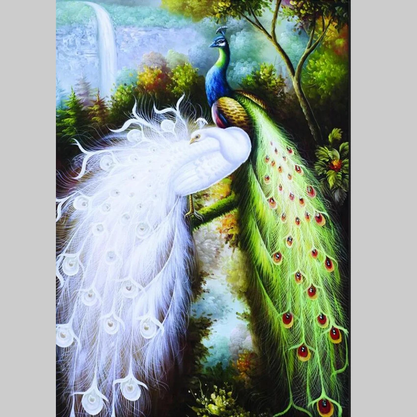 Cuadros домашний декор павлин фотографии Картина на холсте настенные картины для
