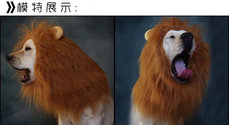Нарядный костюм для домашних питомцев, кошек на Хэллоуин, одежда для собак, Льва, гривы, парик с ушами, фестиваль, нарядный костюм для собак, домашних животных