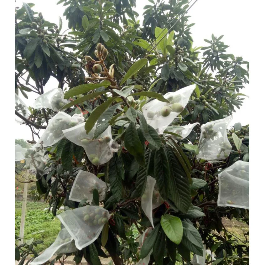 Сетка сетчатая для защиты садовых растений 100 шт.|Укрытие растений| |