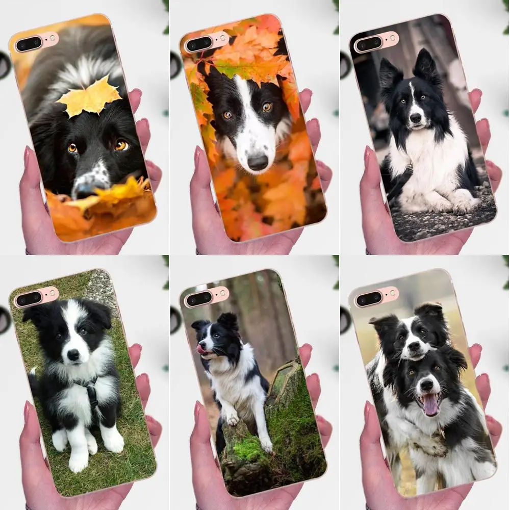 Border Collie собачья порода для Galaxy A3 A5 A7 On5 On7 2015 2016 2017 Grand Alpha G850 Core2 Prime S2 I9082 TPU Защитная