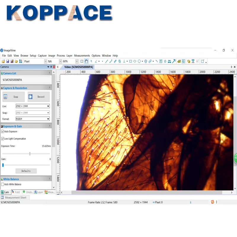 Монокулярный электронный Биологический микроскоп KOPPACE 40 640X окуляр 5 Мп USB2.0