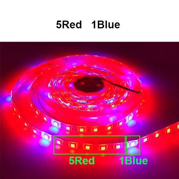 5Red 1Blue Полный спектр светодиодный светильник для выращивания 5 м 3 м 2 м 5050 12 В 12 В Светодиодная лента для выращивания растений, фито-лампы для выращивания растений в аквариуме, теплицы - Испускаемый цвет: 5Red 1Blue