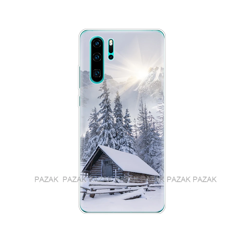 Чехол для huawei P30 Pro Чехол huawei P30Pro силиконовый чехол ТПУ задняя крышка для телефона на huawei P30 Pro VOG-L29 ELE-L29 P 30 Lite чехол - Цвет: 10646