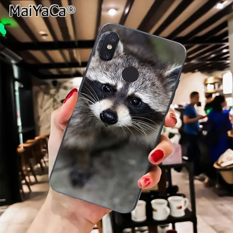 A12 MaiYaCa модный енот красная панда лиса дизайн чехол для телефона для Xiaomi Redmi4X 6A S2 Go Redmi 5 5Plus Note4 Note5 7 Note6Pro - Цвет: A12