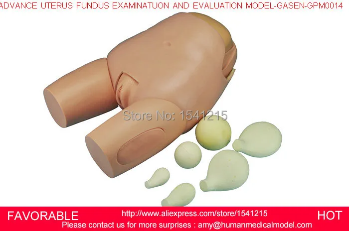 Репродуктивный анатомический медицинский манекен тренировочный для ухода за