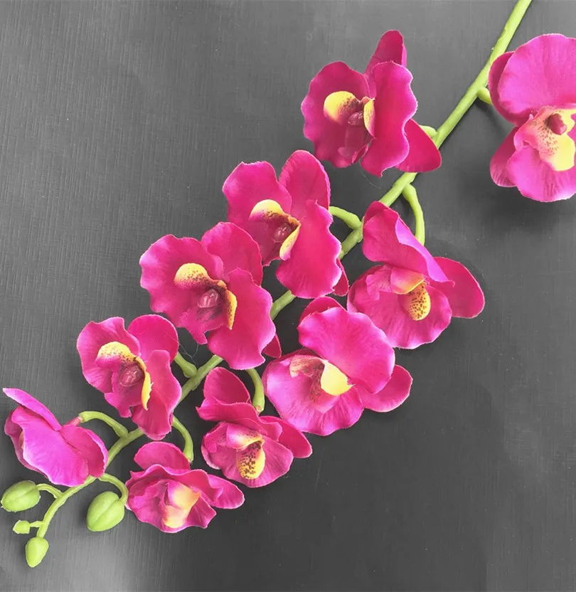 Орхидея Фаленопсис 10 крем для головы/оранжевый/ярко розовый/фуксия светильник