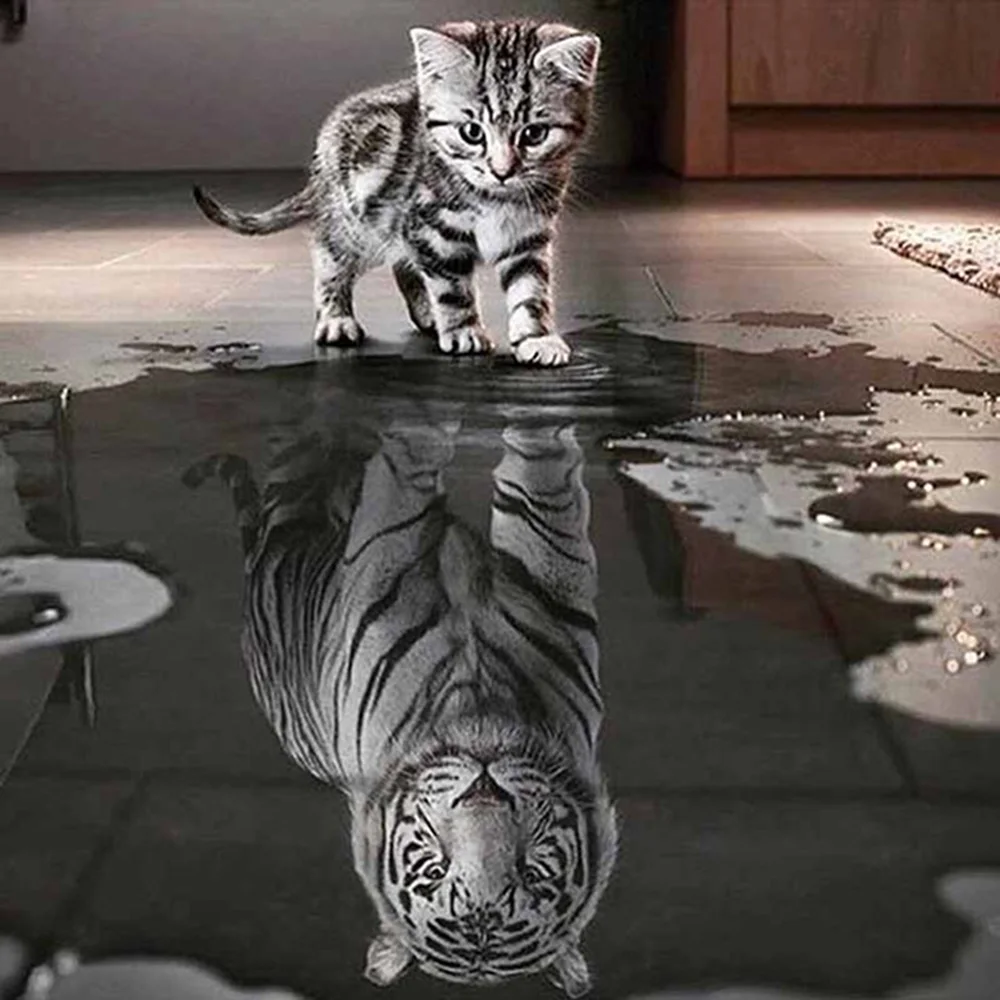 2018 New Fashion Handsome Dog The Cat Want to Be Tiger Animal Diamond Painting Cross Stitch Rhinestones Embroidery Accessories | Дом и сад