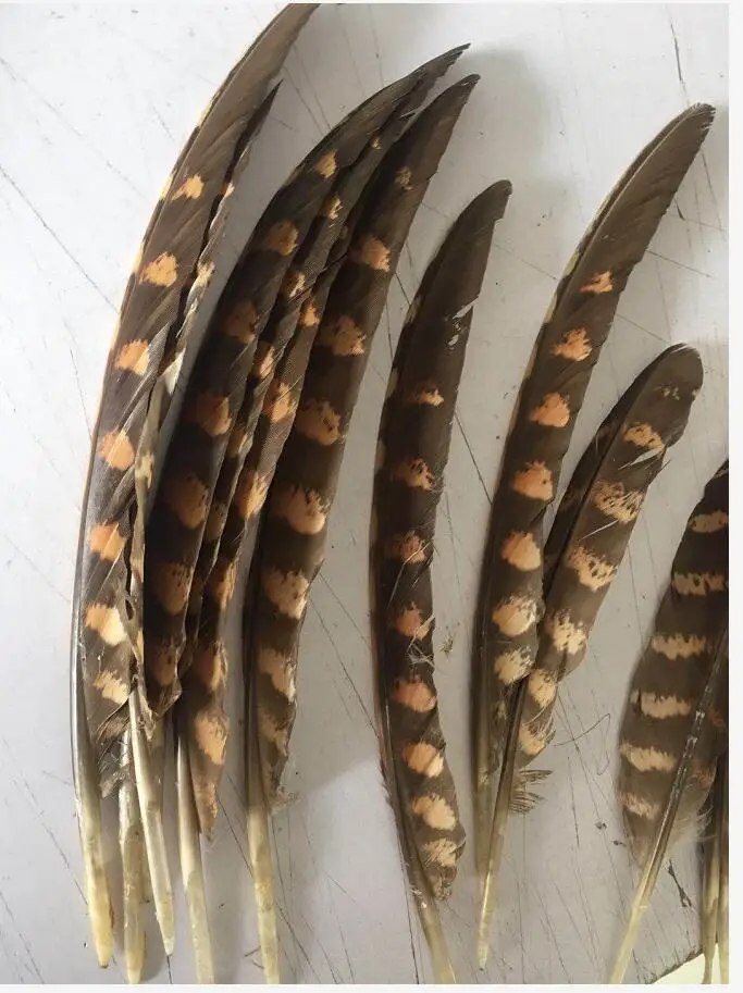 10 шт./лот скудное Натуральное перо орла для праздника вечеринки шляпа платье