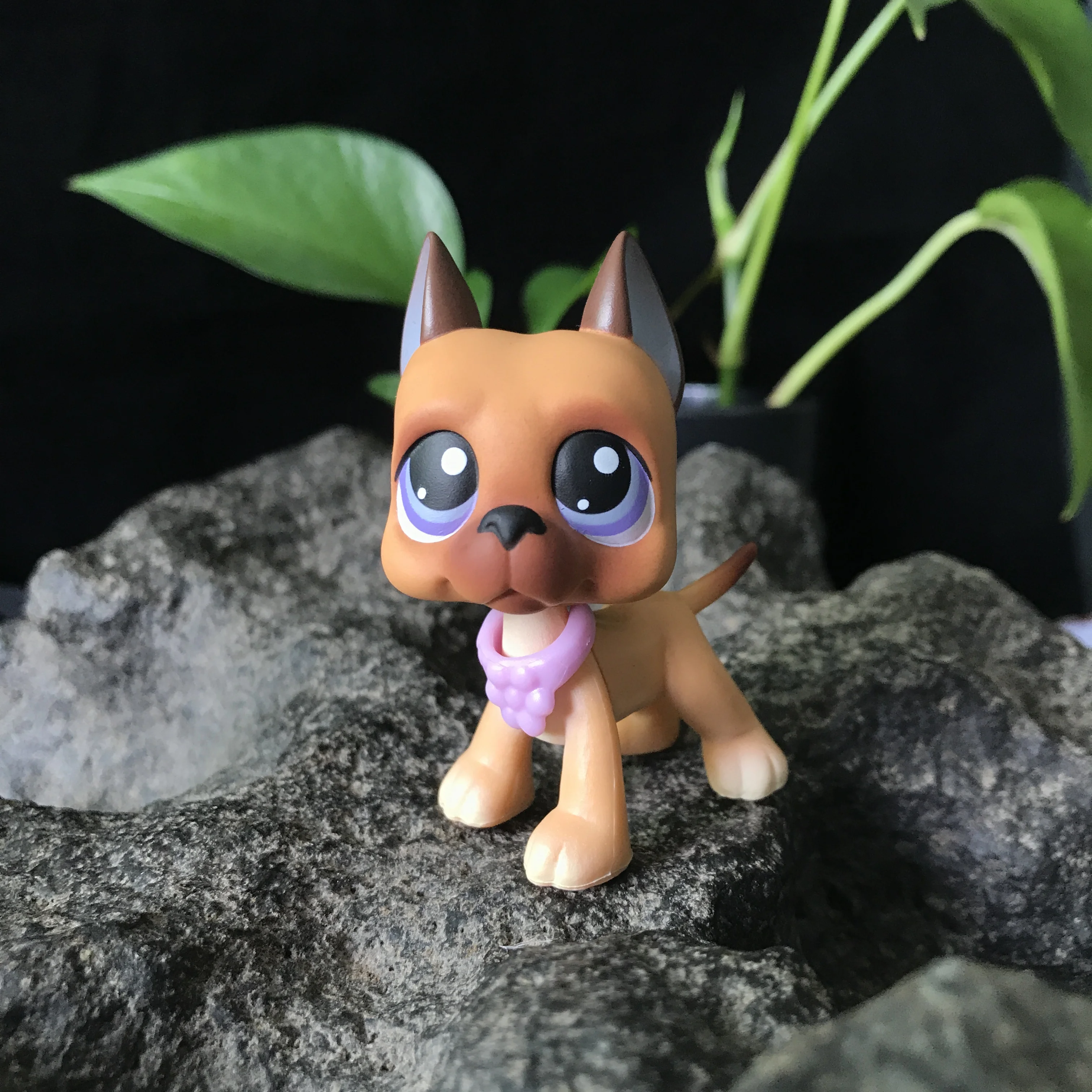 Игрушки для домашних животных Collie Great Dane немецкий дог прозрачная Горловина кошек