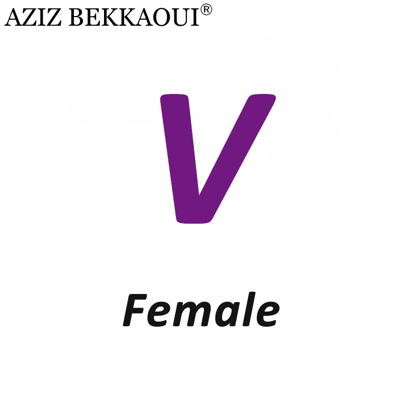 Female V AZIZ BEKKAOUI Лето O-W дропшиппинг любовь подарок пара ювелирных изделий для женщин мужчин Любовь Сердце ювелирные изделия подарок на день Святого Валентина - Окраска металла: Female V