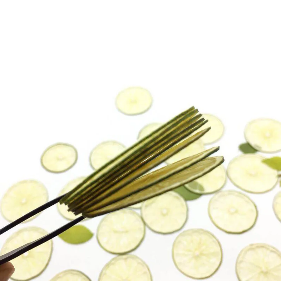 5 шт. прессованный высушенный зеленый лимонный ломтик фруктовый гербарий из