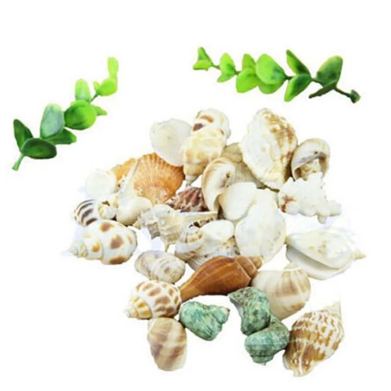 

100g DIY Mixed Beach Nautical Shells Aquarium Fish Tank Decoration Bulk Seashell