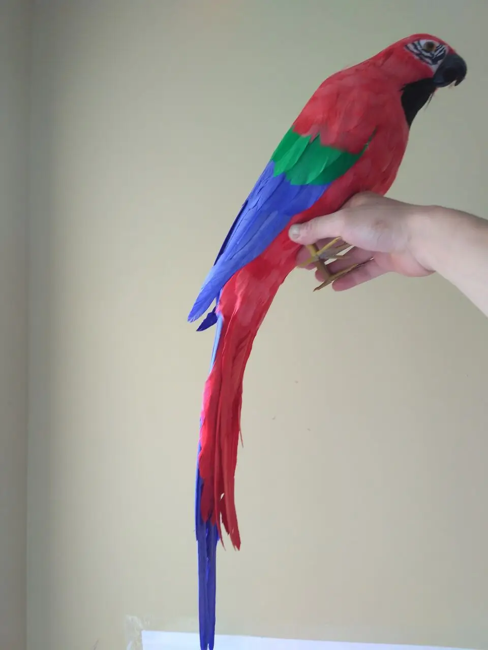 Имитация птицы Попугай модель пена и красочные перья попугай большой 65 см ручной