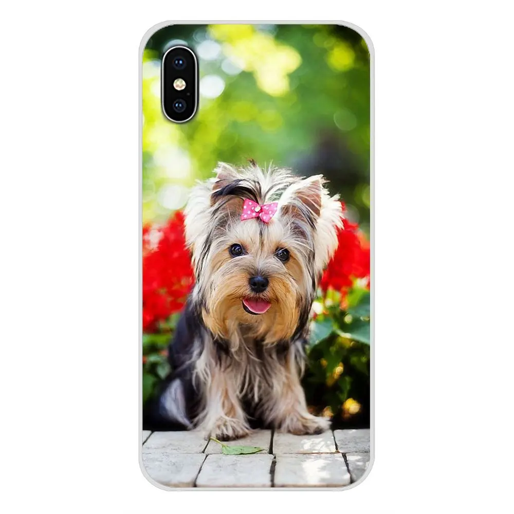 Прозрачные мягкие чехлы Йоркширский терьер щенок собака для Samsung Galaxy S3 S4 S5 Mini S6 S7