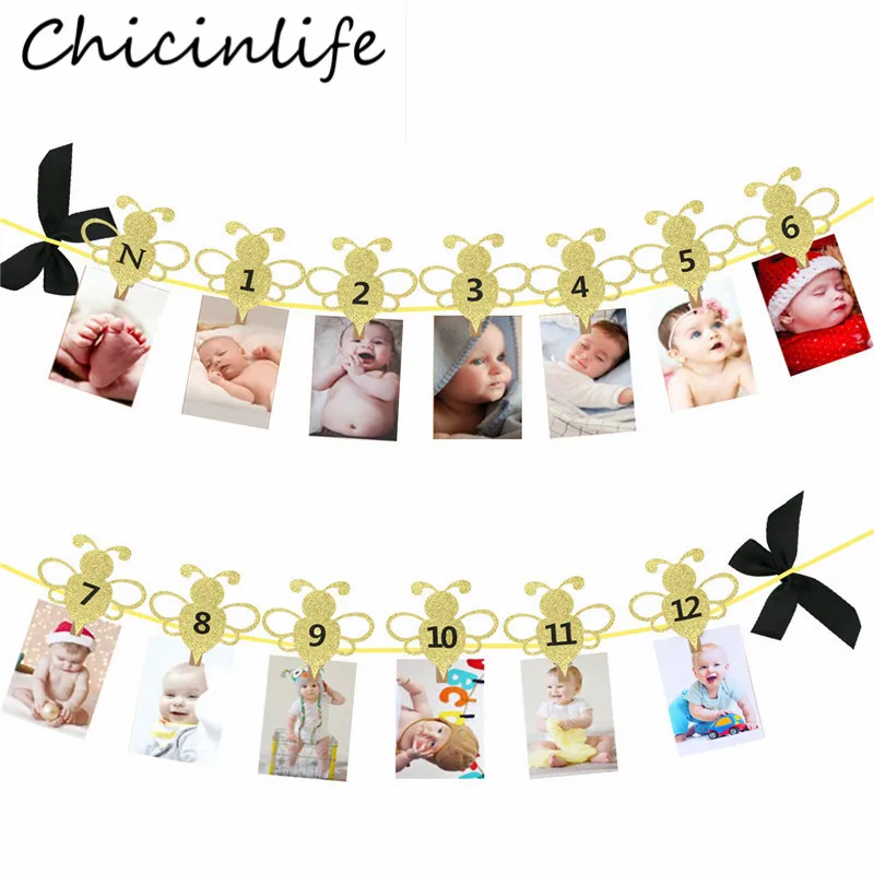 

Chicinlife First Birthday Decor Honeybee 12 Months Photo Banner Baby Shower Boy Girl 1st Birthday Party Garland Bunting Supplies