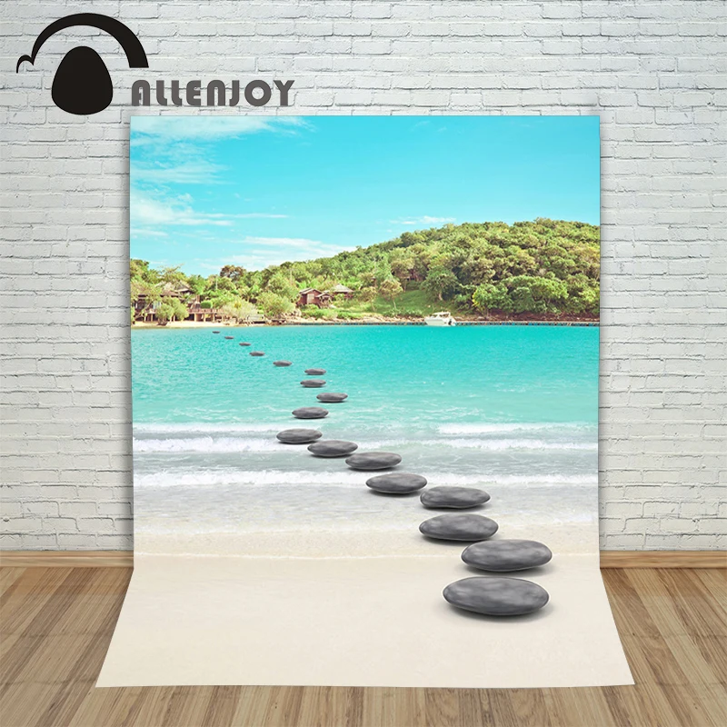 Allenjoy Фотостудия фоны летний камень пейзаж пляж Туризм профессиональная камера
