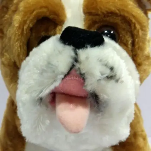 Построить медведя бульдог плюшевые игрушки чучела собак щенок подарок детям|toy