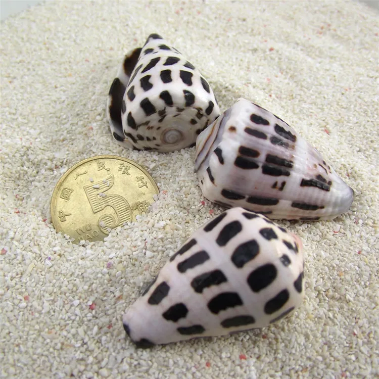 Новый стиль украшение для дома/свадьбы/вечерние украшения из натурального