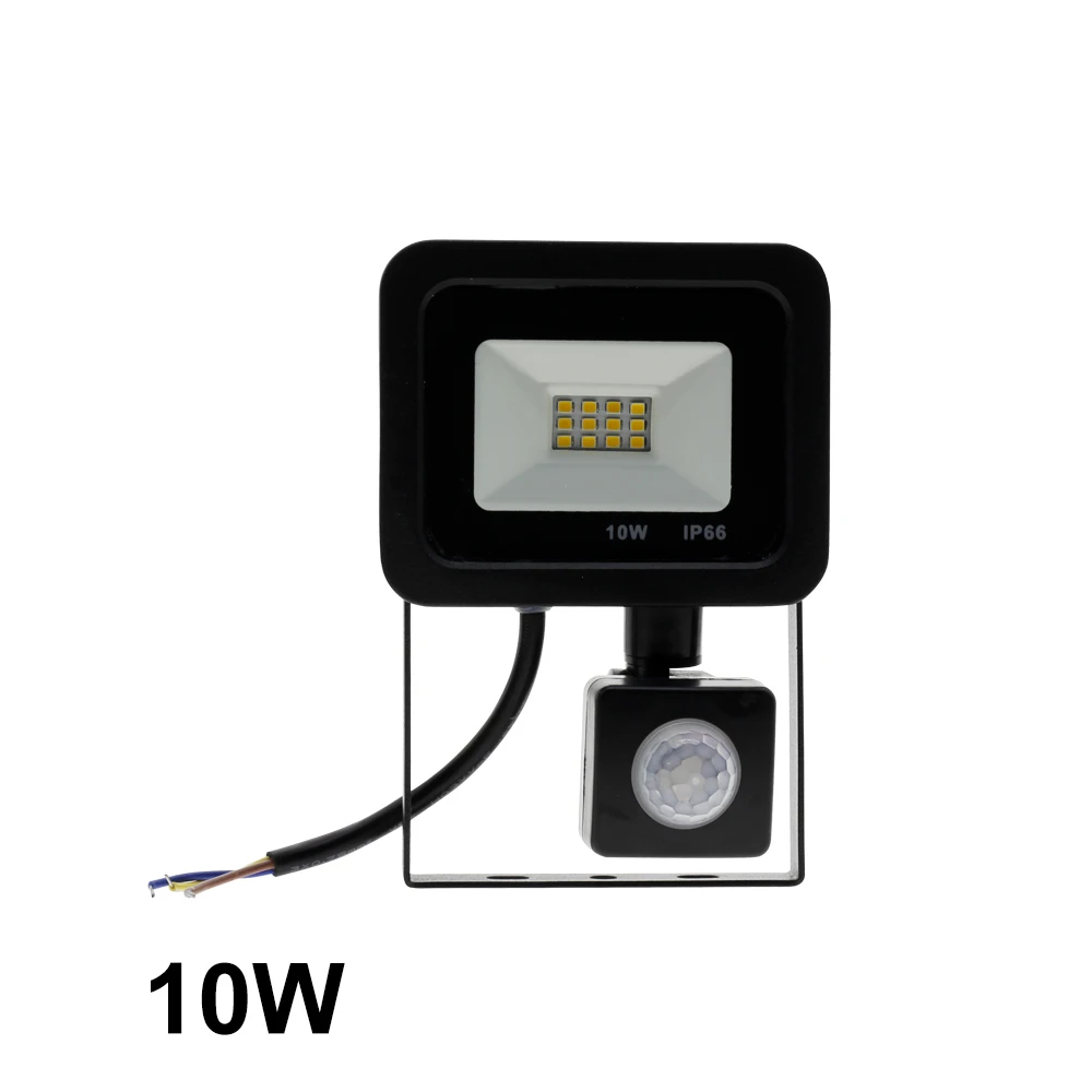 10W PIR Сенсор Светодиодный прожектор светильник AC220V 10 Вт 30 Вт 50 Вт Светодиодный прожектор светильник для двери гаража уличный светильник ing - Испускаемый цвет: 10W