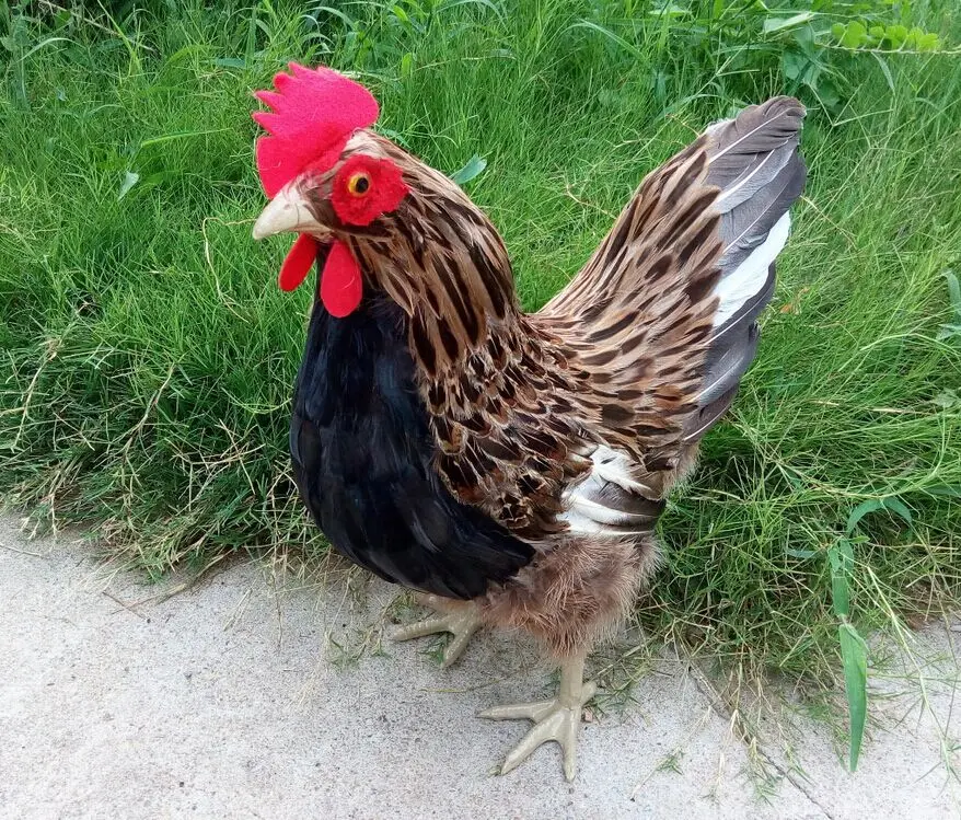 Большая игрушка-курица из полиэтилена и меха милая куриная модель подарок около