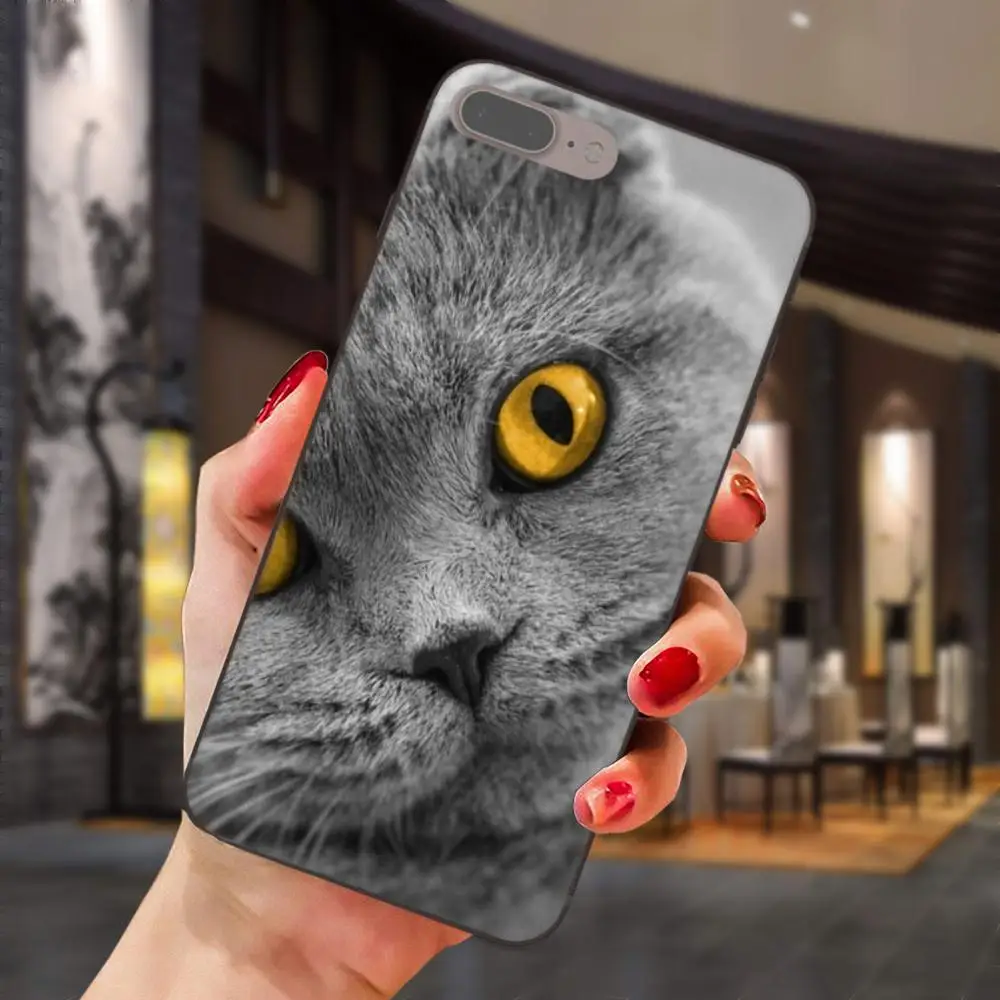 Просвечивающий чехол из мягкого британская; топ с рисунком кошки для huawei Honor 5A 6A 6C 7A 7C 7X 8A 8C 8X9 10 P8 P9 P10 P20 P30 Мини Lite рlus
